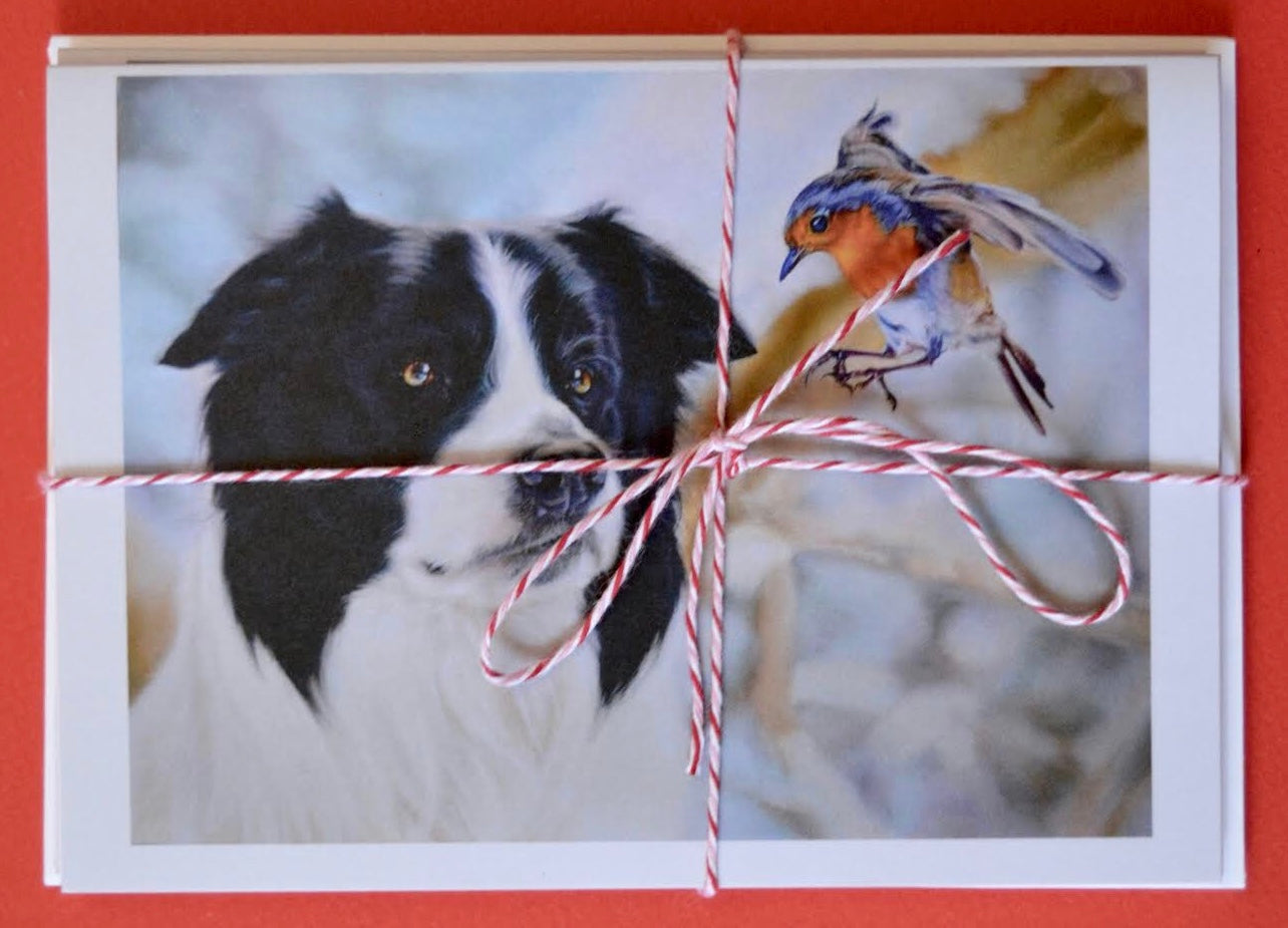 Border Collie and Robin Christmas Cards